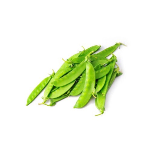 鲜活鲤鱼